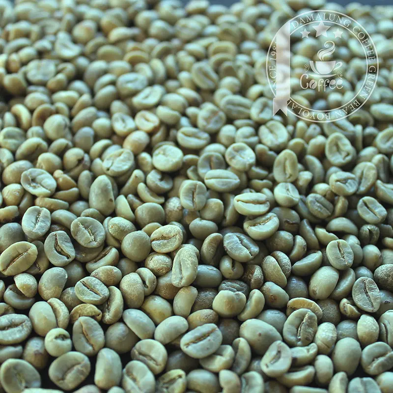 Greenbean Arabika Damalung